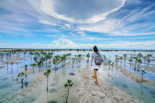 阳江网红赶海在哪里过夜