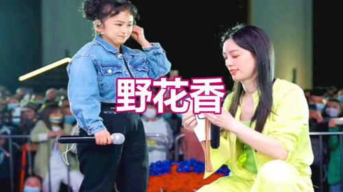 网红金曲野花香,探寻乡村风情与青春记忆的共鸣之旅