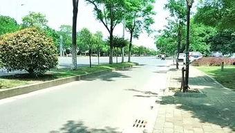 周盼盼网红,从网红到影响力人物，她的蜕变之路”