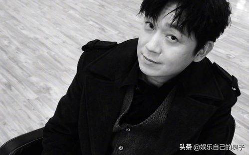 2015最红男明星,2015年度最受欢迎男明星风云榜