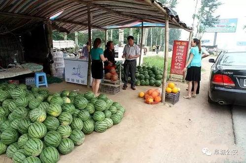 金环市场 吃瓜事件视频