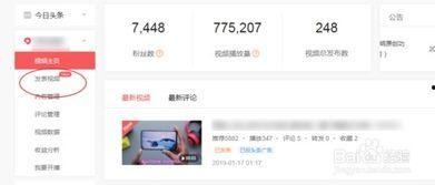 今日头条视频教学课程,轻松掌握实用技能，开启高效学习之旅