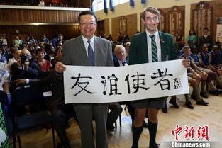 南非大使馆爆料视频大全,爆料视频大全精彩回顾