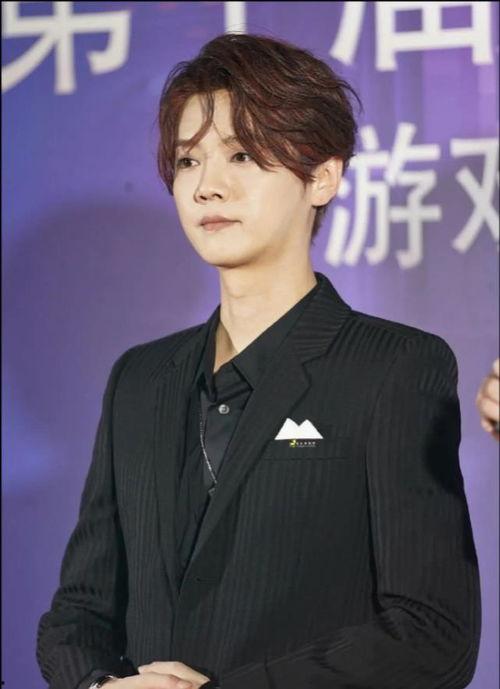 明星都用发胶吗,揭秘发胶在明星发型中的秘密武器