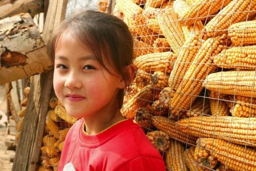 波士顿和马老师的瓜,揭秘娱乐圈的神秘恋情